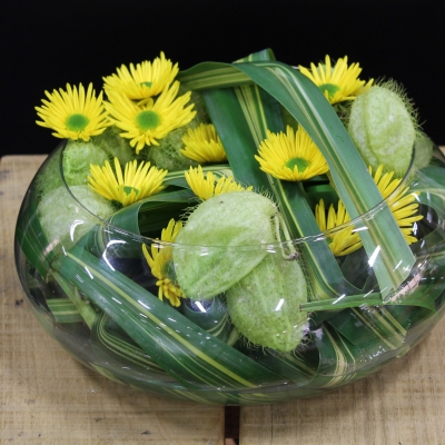 Design by Geertje Stienstra