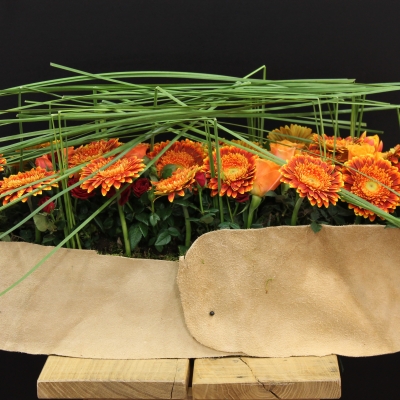 Arrangement by Regina Motmans