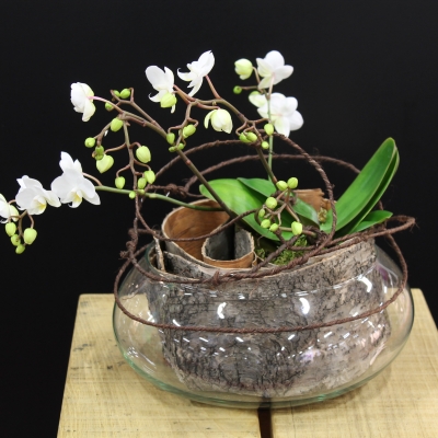 Arrangement by Geertje Stienstra