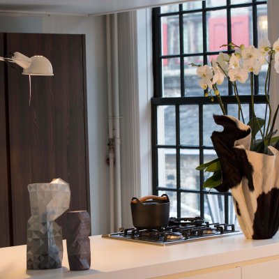 Phalaenopsis Theatro