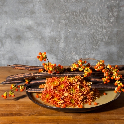 Autumn bowl with 'Bartoli' chrysanthemums