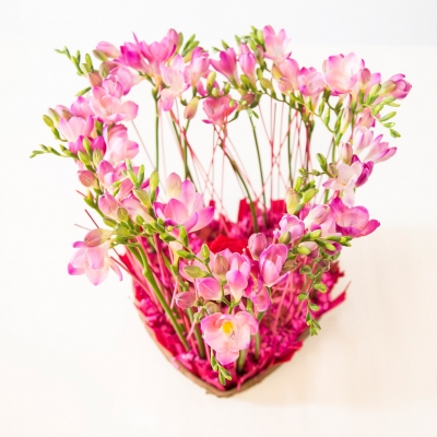 Freesia Heart