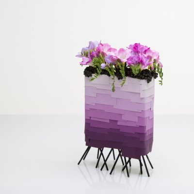 50 shades of purple - Freesia Freestyle