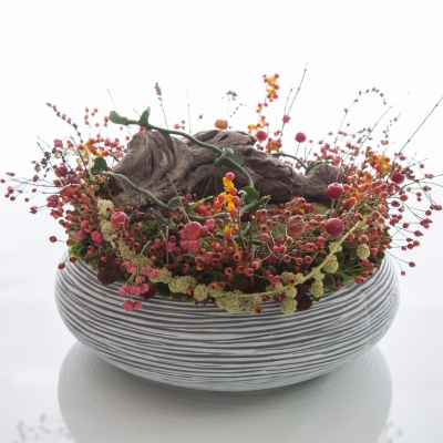 Miniature Garden Design by David Ragg