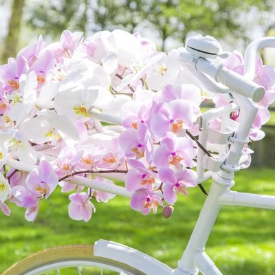 Close up 'wedding bike'