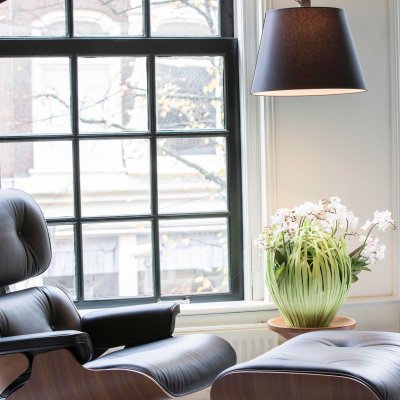 Phalaenopsis in veneer pot design