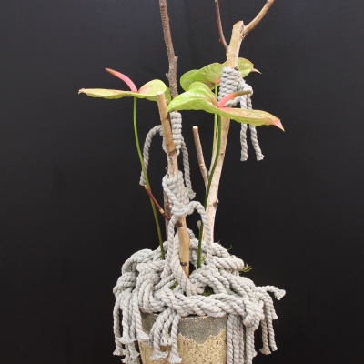 Design by Gea Korpel-Beskers