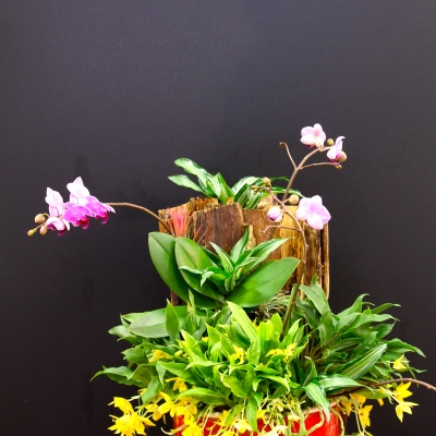 Floral arrangement by Inge Quint