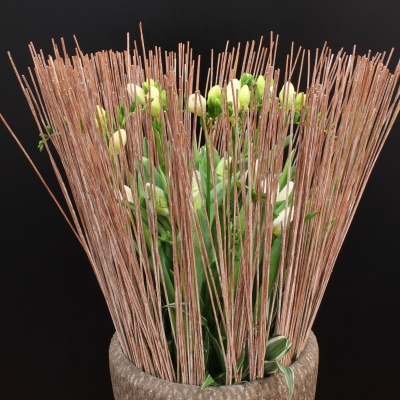 Arrangement by Regina Motmans