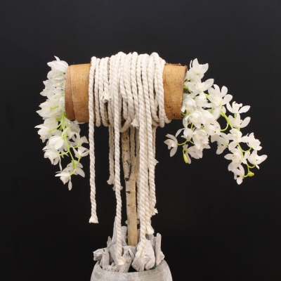 Design by Sarah Dikker