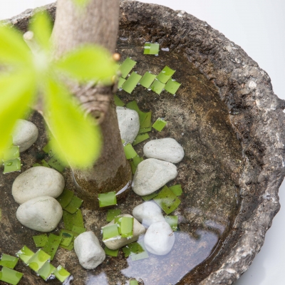 Beautiful simplicity - close up