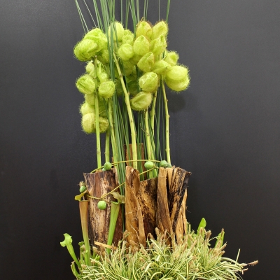 Design by Regina Motmans