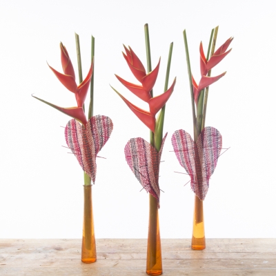Heliconia Hearts