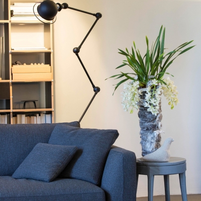 Cymbidium orchid in your livingroom