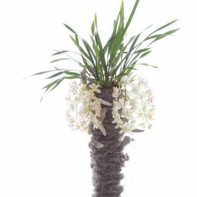 Even a natural beauty loves to dress up