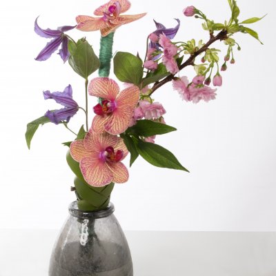 Phalaenopsis design 3-4