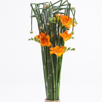 Freesia design with Equisetum