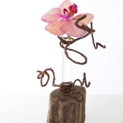 Phalaenopsis design 1-4