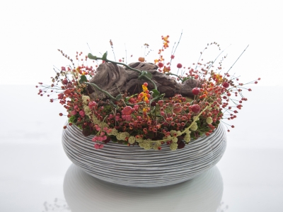 Miniature Garden Design by David Ragg Miniature Garden Design by David Ragg