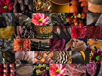 Autumn mood board with chrysanthemums