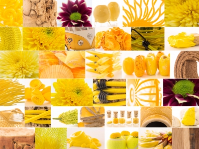 Zentoo Summer mood board