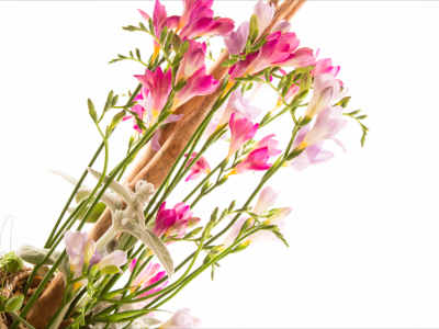 Freesia flower arrangement