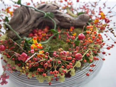 Miniature Garden Design - close up Miniature Garden Design - close up