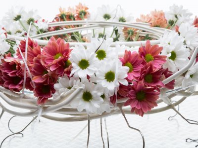 Clothes hangers and Chrysanthemums