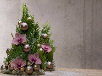 Alternative Christmas tree