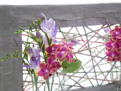 Freesia and Phalaenopsis combination