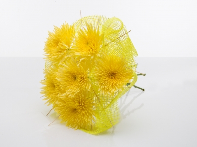 Summer creation - Zentoo mood board 