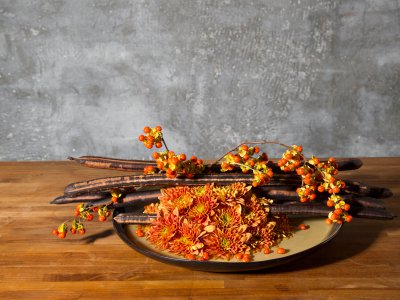 Autumn bowl with 'Bartoli' chrysanthemums Autumn bowl with 'Bartoli' chrysanthemums