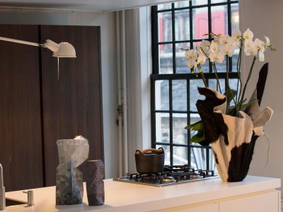 Phalaenopsis Theatro