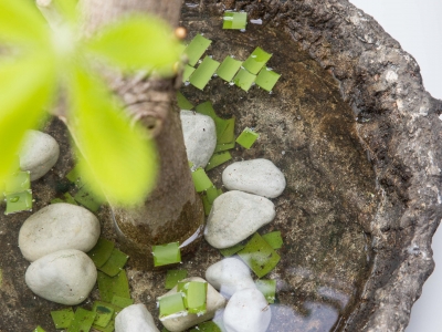 Beautiful simplicity - close up Beautiful simplicity - close up