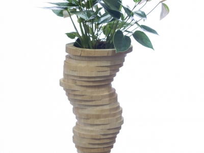 Elegant Anthurium plant arrangement Elegant Anthurium plant arrangement