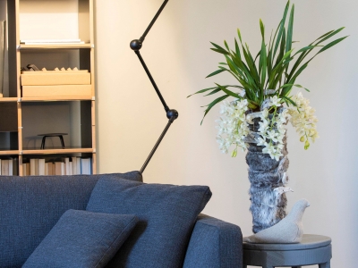 Cymbidium orchid in your livingroom