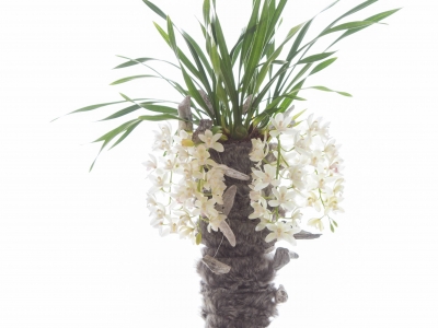 Even a natural beauty loves to dress up