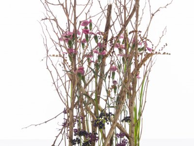 Autumn flower arrangement with Dianthus and berries Autumn flower arrangement with Dianthus and berries