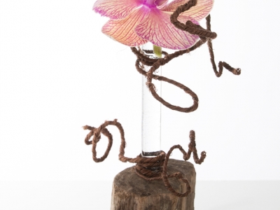 Phalaenopsis design 1-4