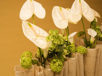 Anthurium design by Geertje Stienstra