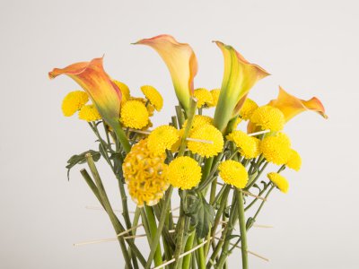 Limoncello design - close up