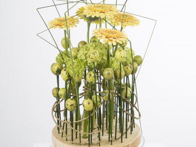 Design with soft yellows and fresh greens