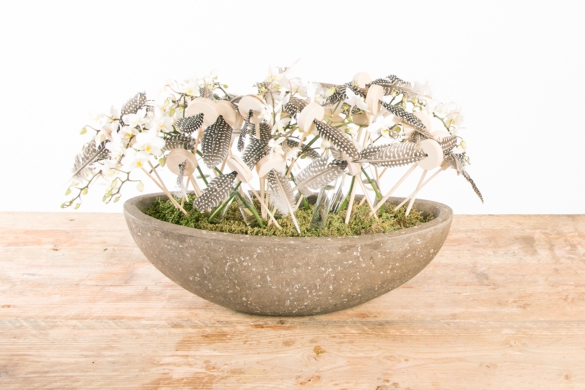 Orchid and feather festival