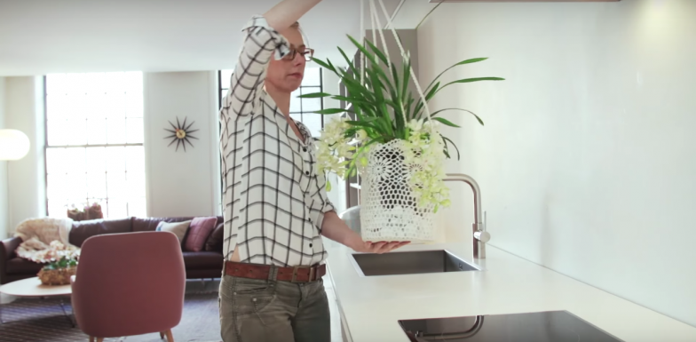 Cascade Cymbidium in DIY hanging planter