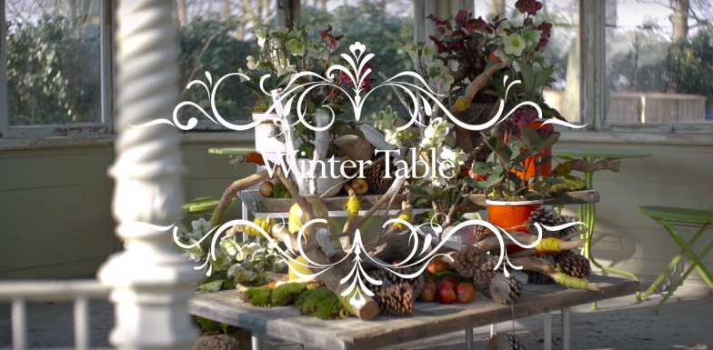 a Winter Table with Hellebores 
