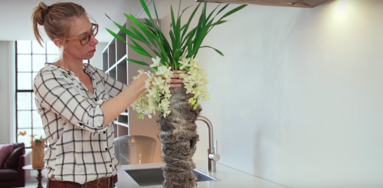 Cascade Cymbidium plant arrangement