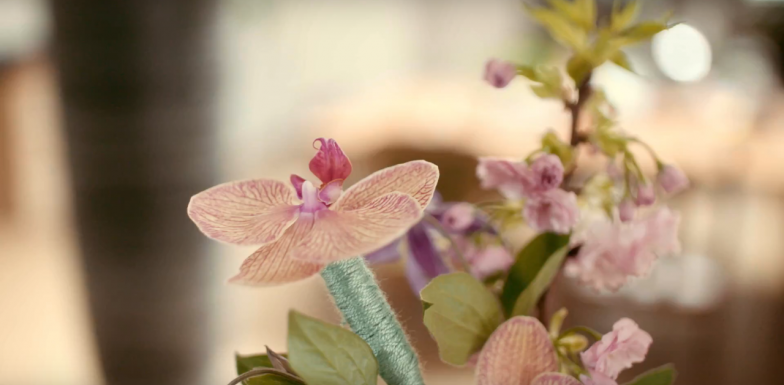 One cut Phalaenopsis stem, four designs