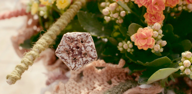 a Colourful Kalanchoë design