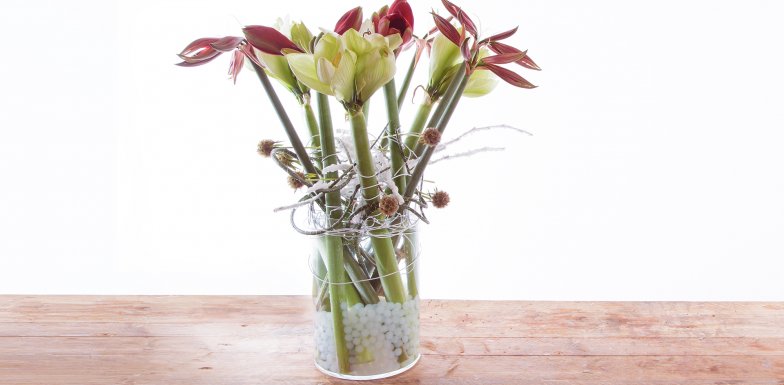 Amaryllis vase design