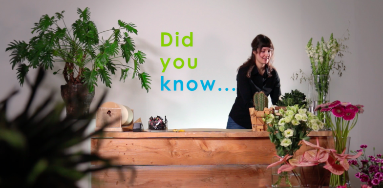 Did you know... it doesn't matter how... Did you know... it doesn't matter how...